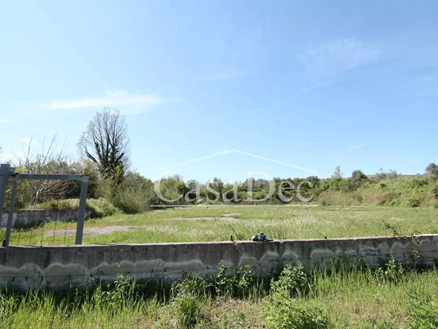 Immagine 4 di Terreno residenziale in vendita  in Via Casilina snc a Calvi Risorta