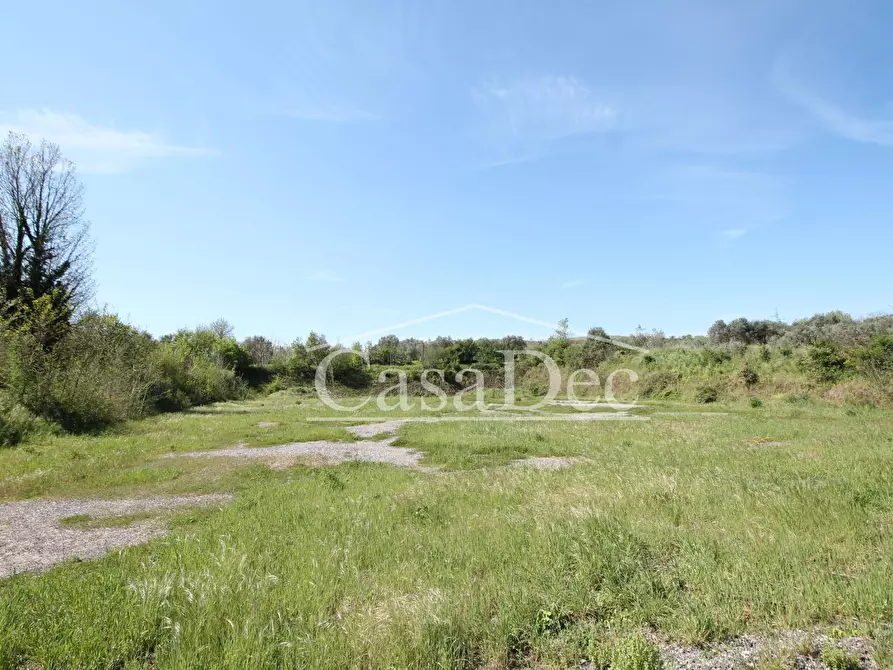 Immagine 5 di Terreno residenziale in vendita  in Via Casilina snc a Calvi Risorta