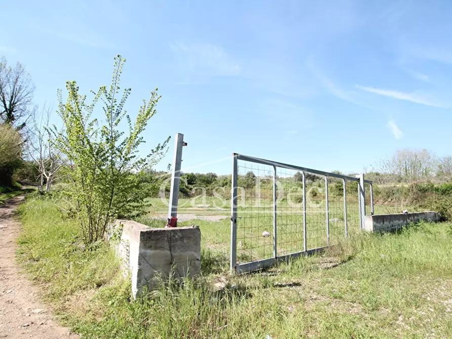 Immagine 6 di Terreno residenziale in vendita  in Via Casilina snc a Calvi Risorta
