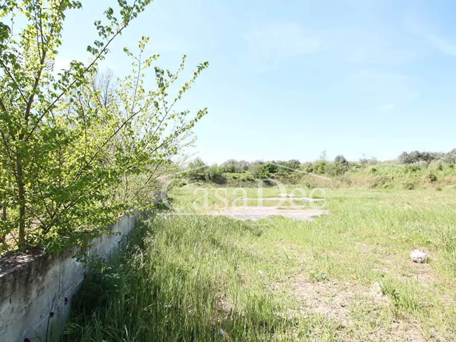 Immagine 7 di Terreno residenziale in vendita  in Via Casilina snc a Calvi Risorta