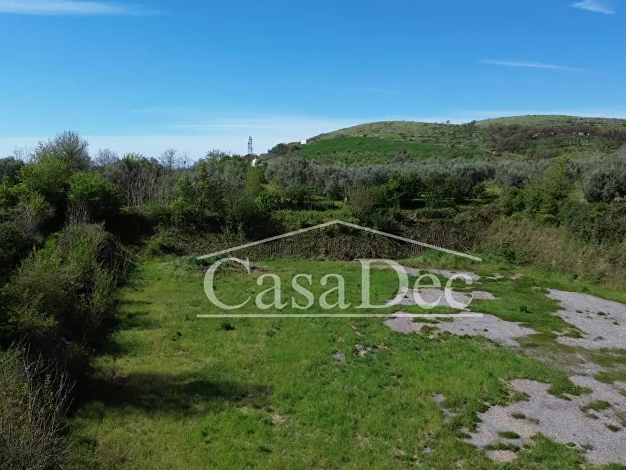 Immagine 9 di Terreno residenziale in vendita  in Via Casilina snc a Calvi Risorta