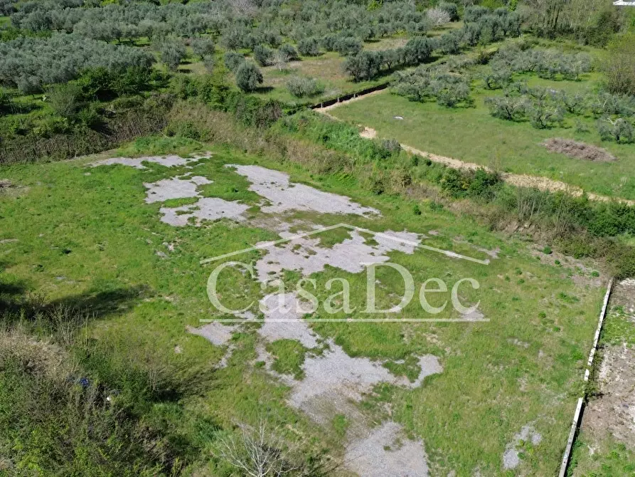 Immagine 11 di Terreno residenziale in vendita  in Via Casilina snc a Calvi Risorta