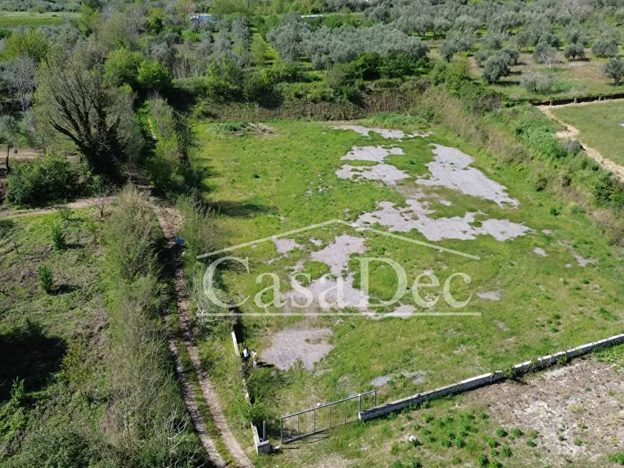 Immagine 12 di Terreno residenziale in vendita  in Via Casilina snc a Calvi Risorta