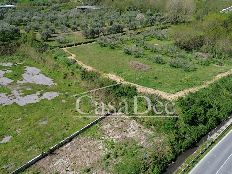 Immagine 13 di Terreno residenziale in vendita  in Via Casilina snc a Calvi Risorta