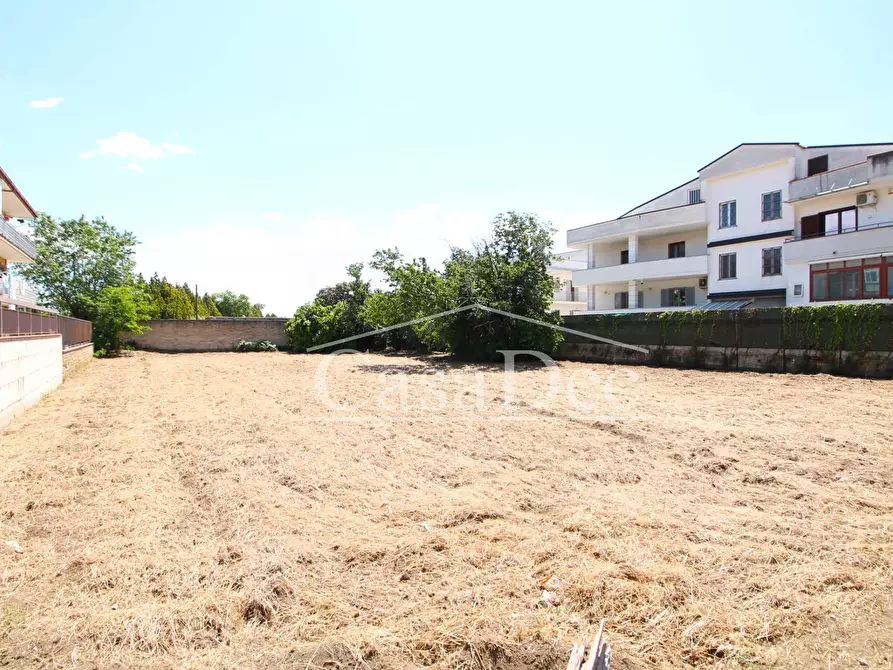 Immagine 3 di Agriturismo in vendita  in Via Gronchi a Aversa