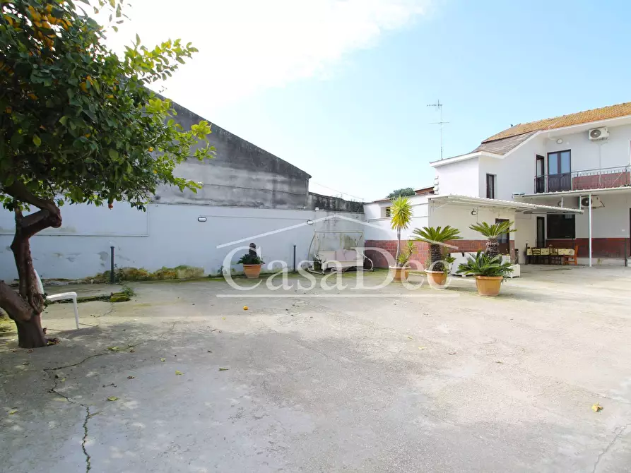 Immagine 3 di Casa indipendente in vendita  in Via Piacenza 1 a Villa Literno