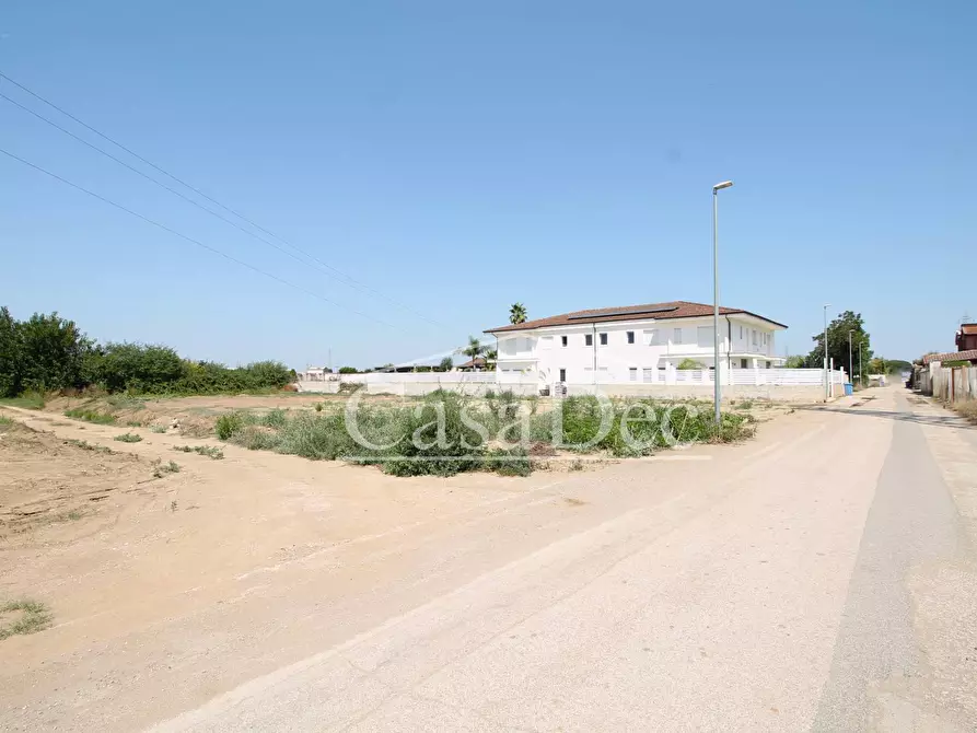 Immagine 9 di Terreno agricolo in vendita  in Madonna Del Loreto a Villa Literno