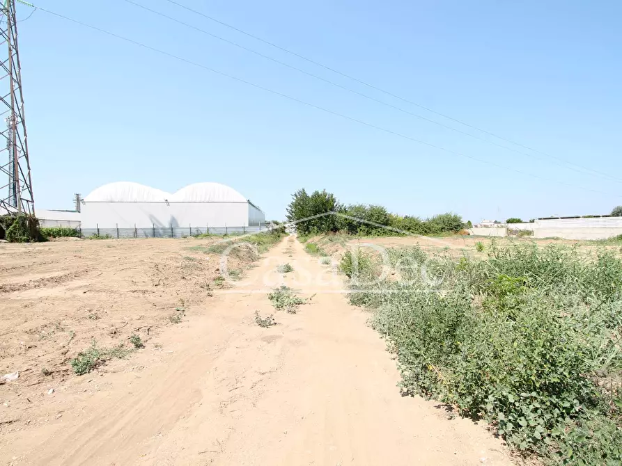 Immagine 11 di Terreno agricolo in vendita  in Madonna Del Loreto a Villa Literno