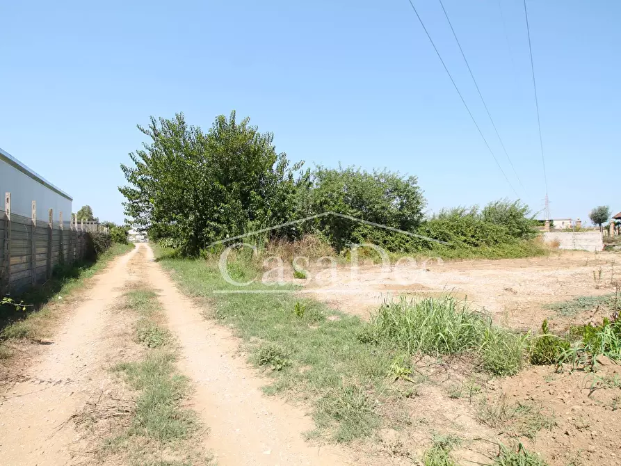 Immagine 12 di Terreno agricolo in vendita  in Madonna Del Loreto a Villa Literno