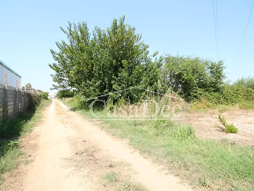 Immagine 14 di Terreno agricolo in vendita  in Madonna Del Loreto a Villa Literno