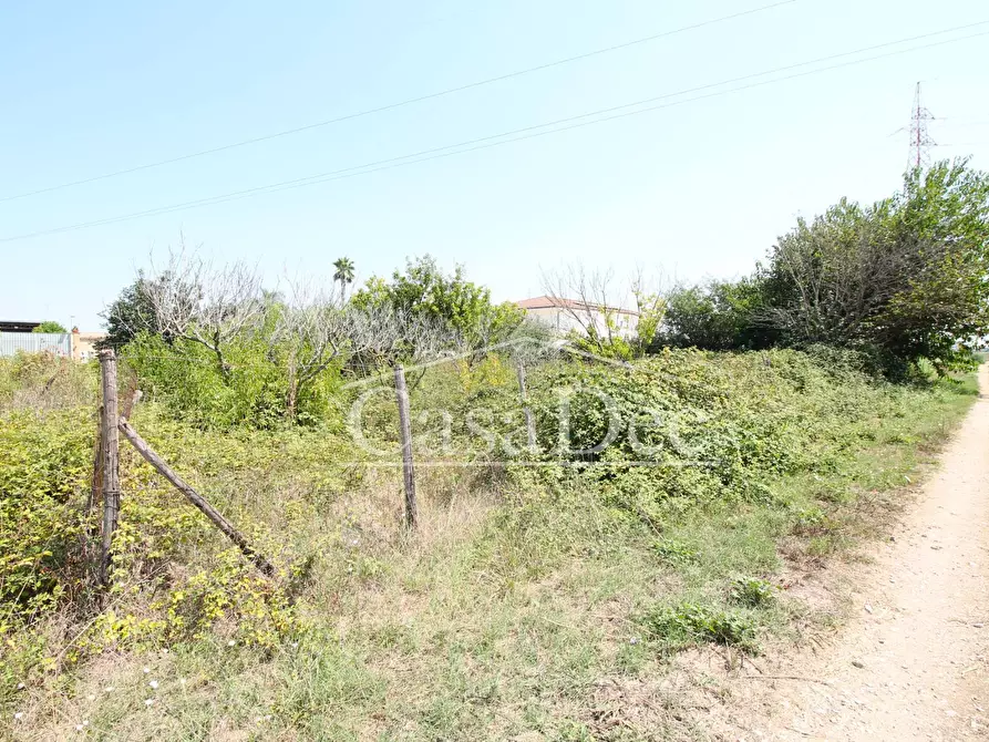 Immagine 15 di Terreno agricolo in vendita  in Madonna Del Loreto a Villa Literno
