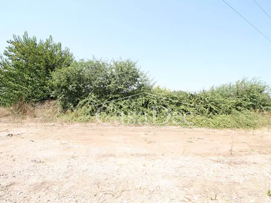 Immagine 13 di Terreno agricolo in vendita  in Madonna Del Loreto a Villa Literno