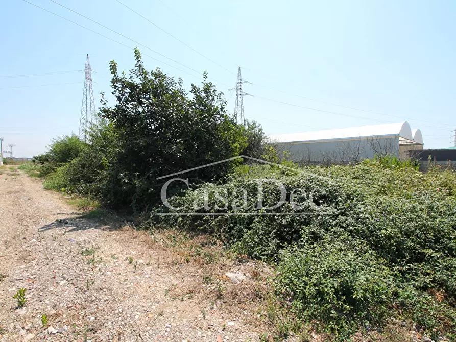 Immagine 16 di Terreno agricolo in vendita  in Madonna Del Loreto a Villa Literno