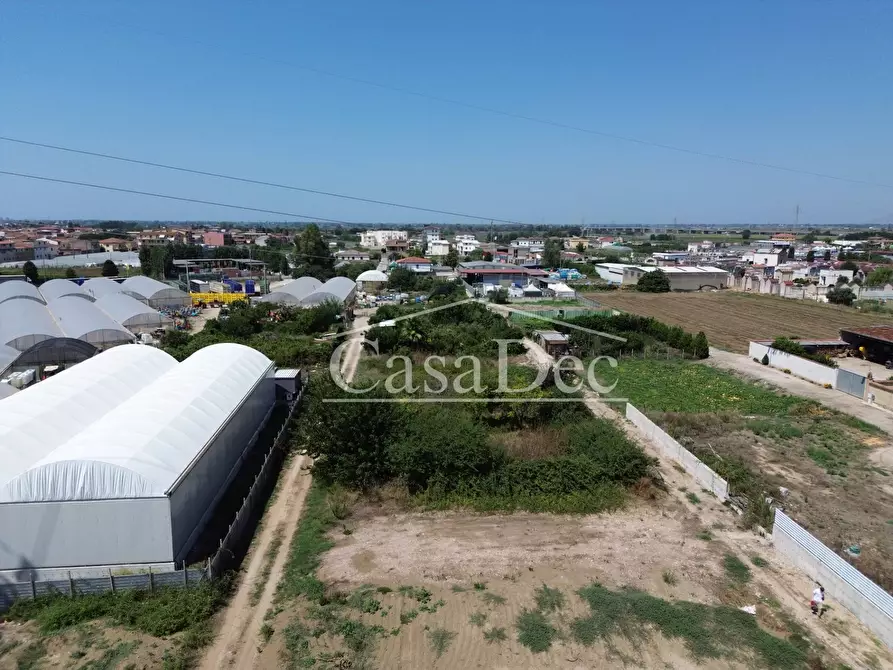 Immagine 4 di Terreno agricolo in vendita  in Madonna Del Loreto a Villa Literno