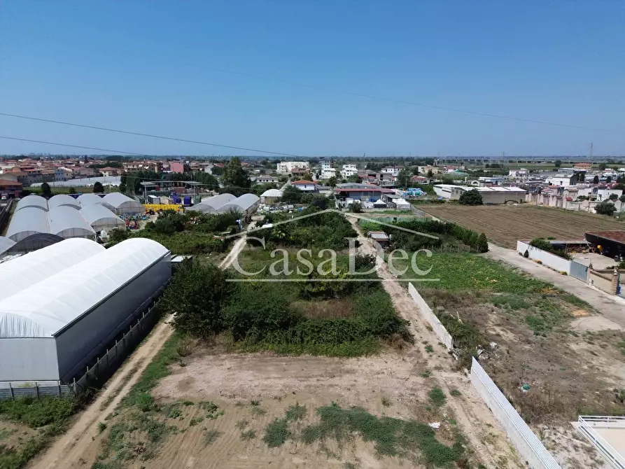 Immagine 5 di Terreno agricolo in vendita  in Madonna Del Loreto a Villa Literno