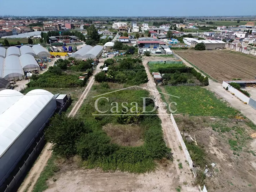 Immagine 2 di Terreno agricolo in vendita  in Madonna Del Loreto a Villa Literno