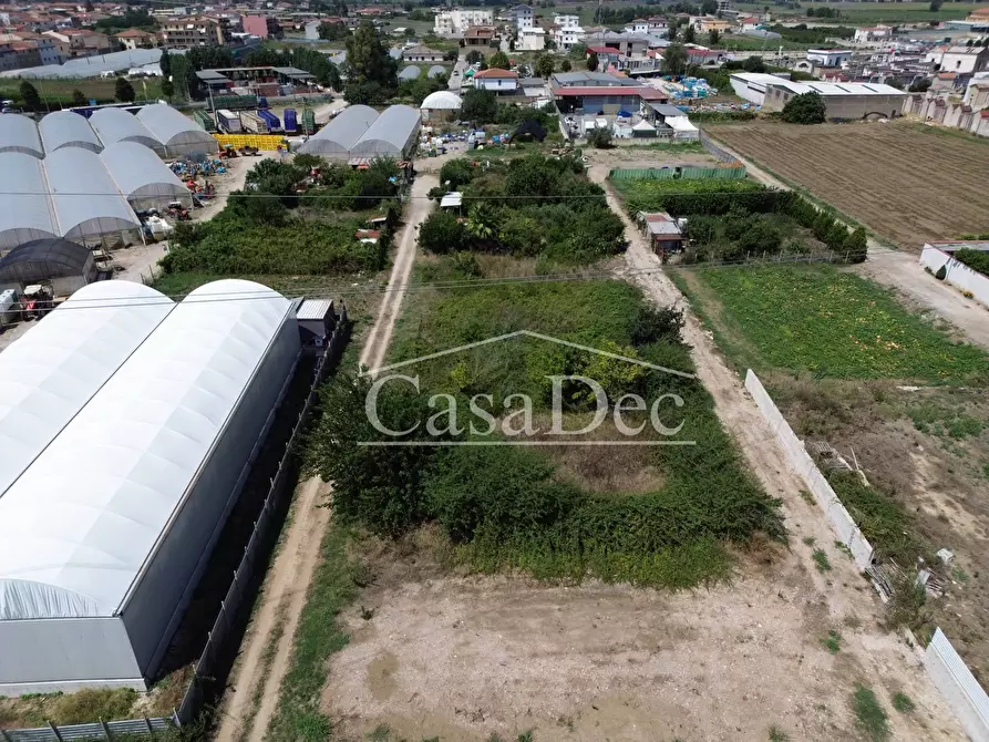 Immagine 3 di Terreno agricolo in vendita  in Madonna Del Loreto a Villa Literno