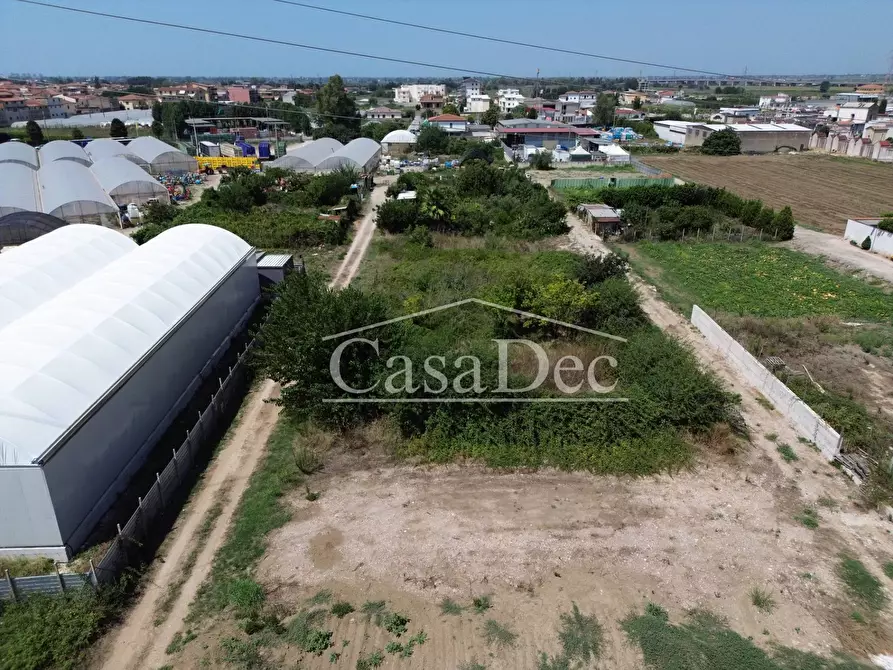 Immagine 6 di Terreno agricolo in vendita  in Madonna Del Loreto a Villa Literno