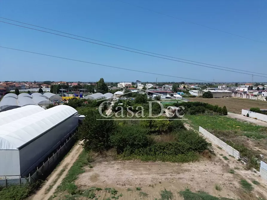 Immagine 7 di Terreno agricolo in vendita  in Madonna Del Loreto a Villa Literno