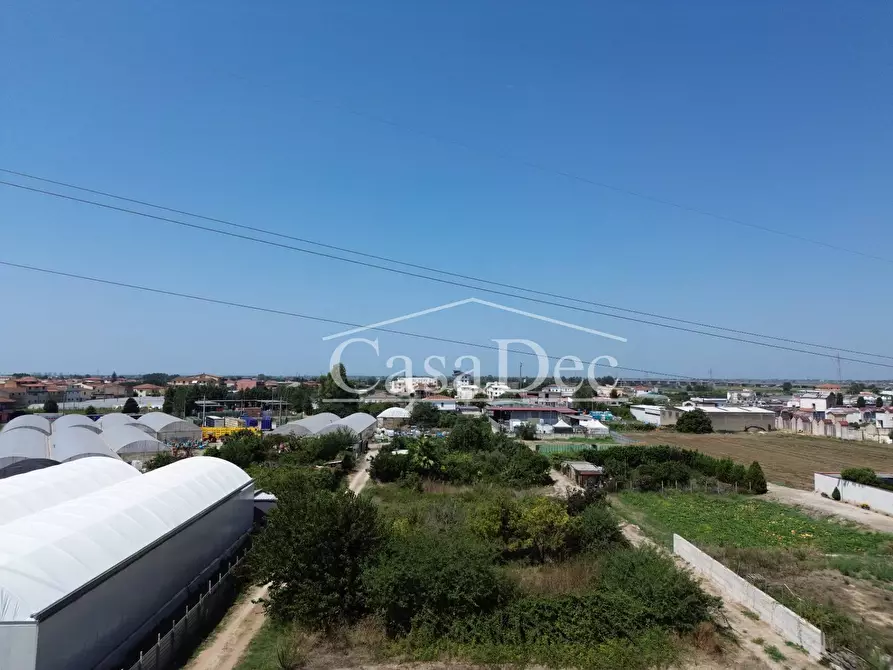 Immagine 8 di Terreno agricolo in vendita  in Madonna Del Loreto a Villa Literno