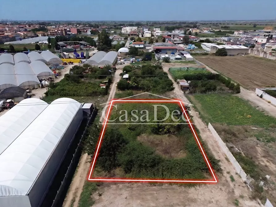 Immagine 1 di Terreno agricolo in vendita  in Madonna Del Loreto a Villa Literno