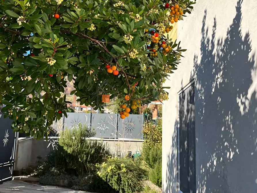 Immagine 48 di Casa indipendente in vendita  16 a Venarotta