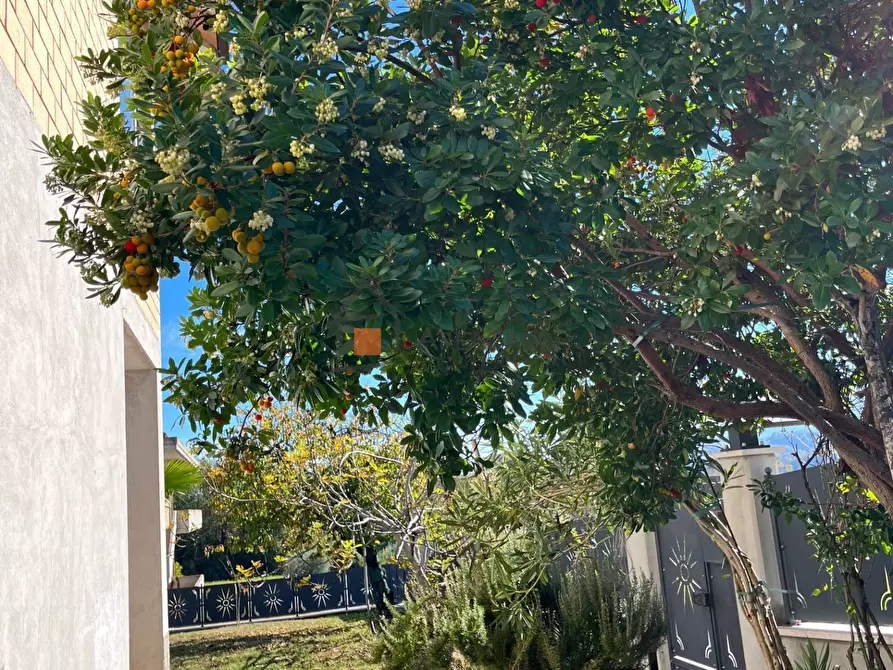 Immagine 49 di Casa indipendente in vendita  16 a Venarotta