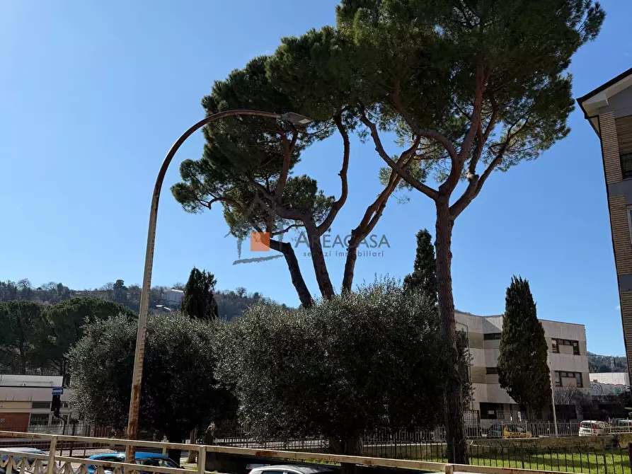 Immagine 3 di Appartamento in vendita  9 a Ascoli Piceno