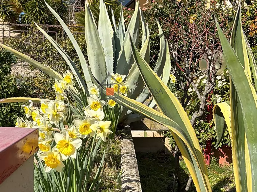 Immagine 10 di Appartamento in vendita  30 a Ascoli Piceno