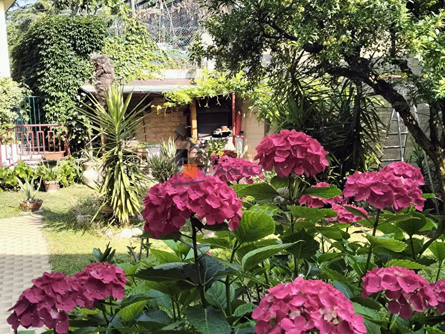 Immagine 19 di Appartamento in vendita  30 a Ascoli Piceno