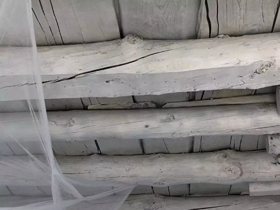 Immagine 11 di Appartamento in affitto  in Via Buranello a Varazze