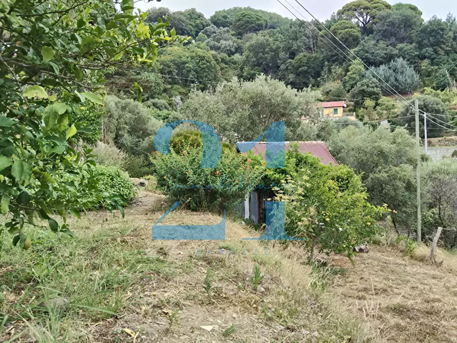 Immagine 34 di Appartamento in vendita  in via costa 10 a Varazze