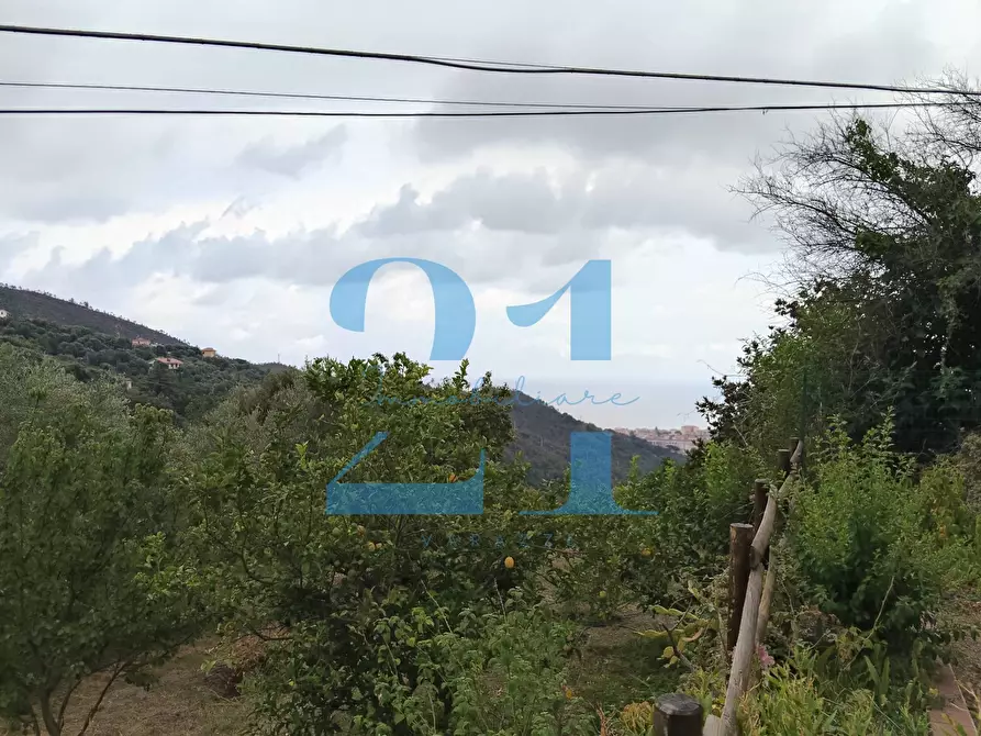 Immagine 35 di Appartamento in vendita  in via costa 10 a Varazze