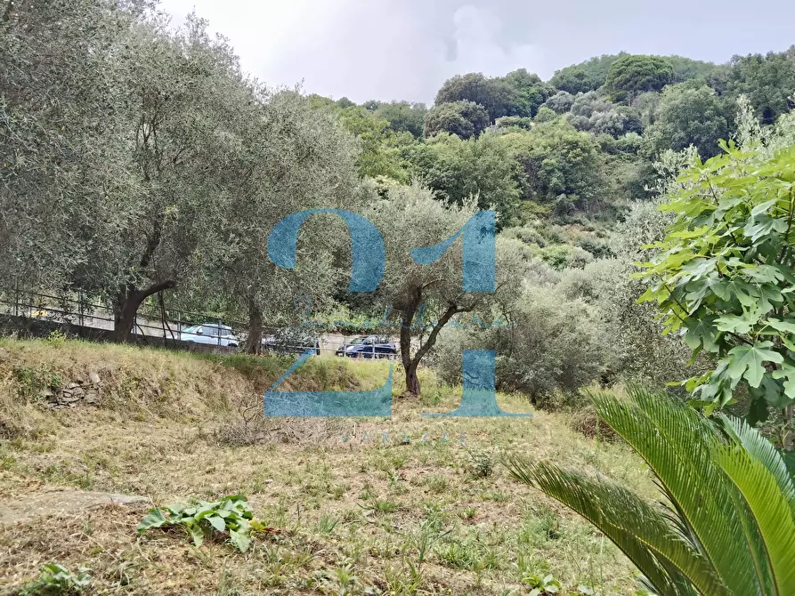Immagine 37 di Appartamento in vendita  in via costa 10 a Varazze