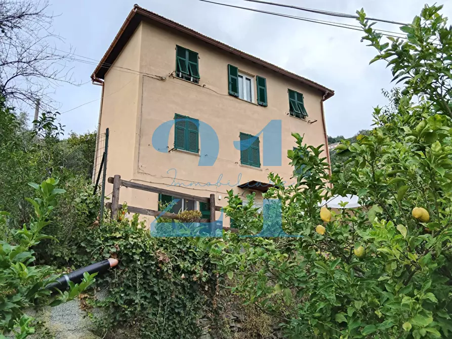 Immagine 36 di Appartamento in vendita  in via costa 10 a Varazze