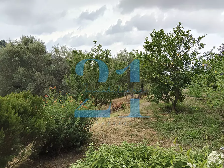 Immagine 33 di Appartamento in vendita  in via costa 10 a Varazze