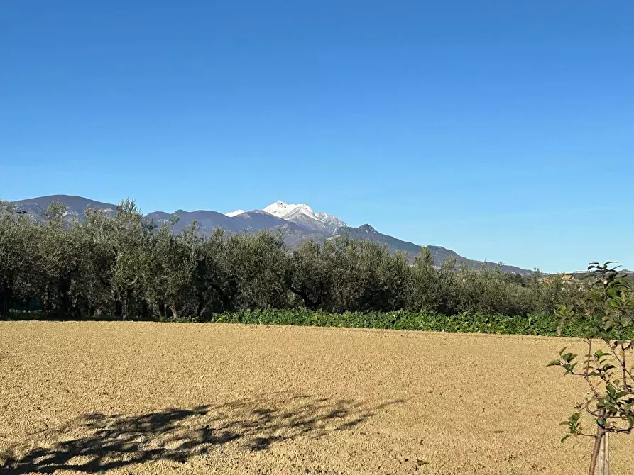 Immagine 1 di Terreno residenziale in vendita  in Contrada Collina 99 a Brittoli