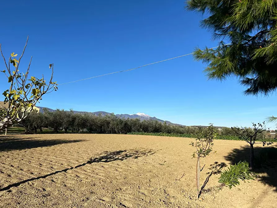 Immagine 3 di Terreno residenziale in vendita  in Contrada Collina 99 a Brittoli