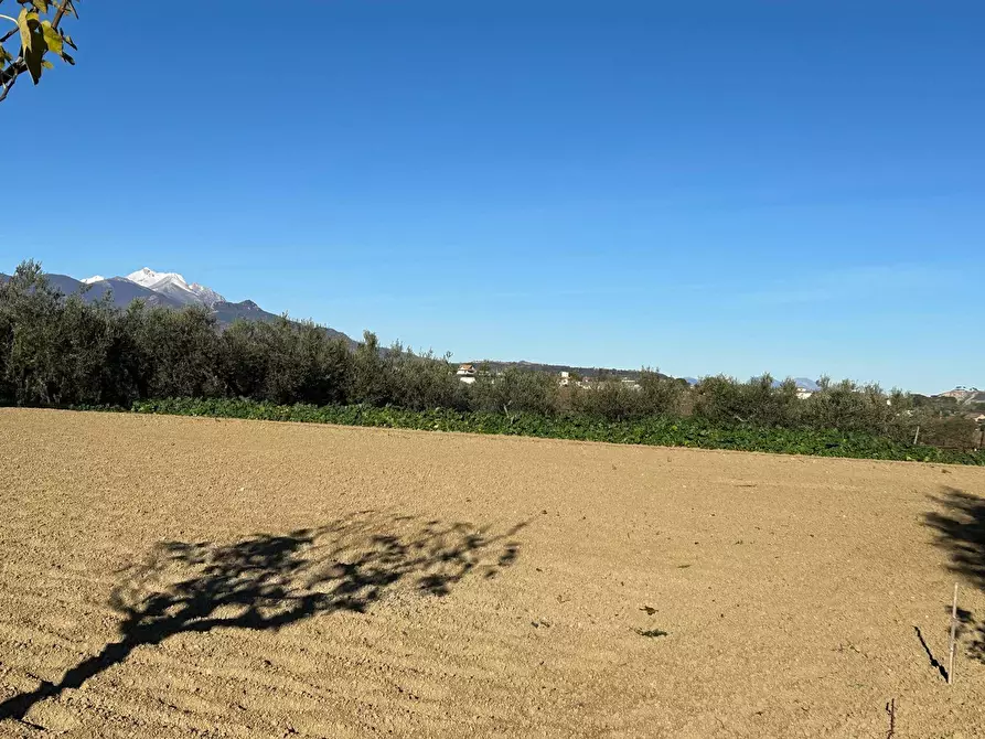 Immagine 4 di Terreno residenziale in vendita  in Contrada Collina 99 a Brittoli