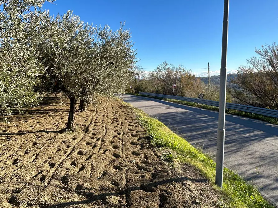 Immagine 9 di Terreno residenziale in vendita  in Contrada Collina 99 a Brittoli