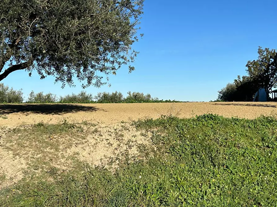 Immagine 5 di Terreno residenziale in vendita  in Contrada Collina 99 a Brittoli