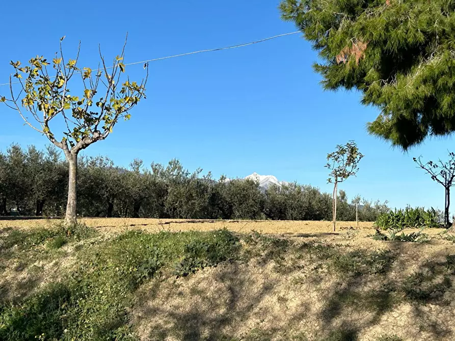 Immagine 6 di Terreno residenziale in vendita  in Contrada Collina 99 a Brittoli