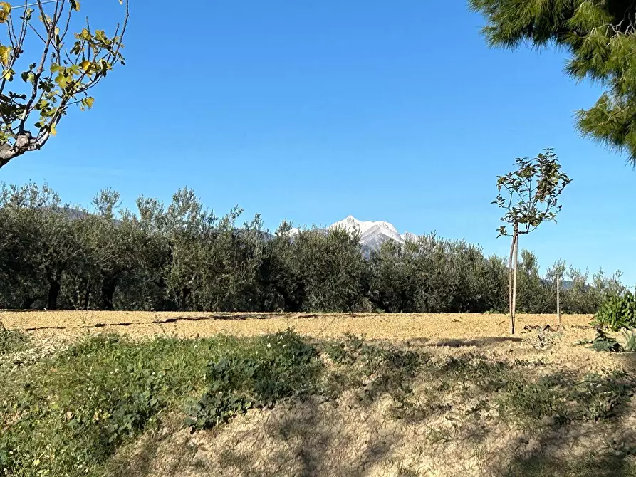 Immagine 11 di Terreno residenziale in vendita  in Contrada Collina 99 a Brittoli