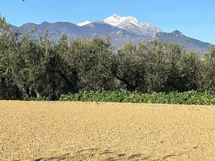 Immagine 12 di Terreno residenziale in vendita  in Contrada Collina 99 a Brittoli