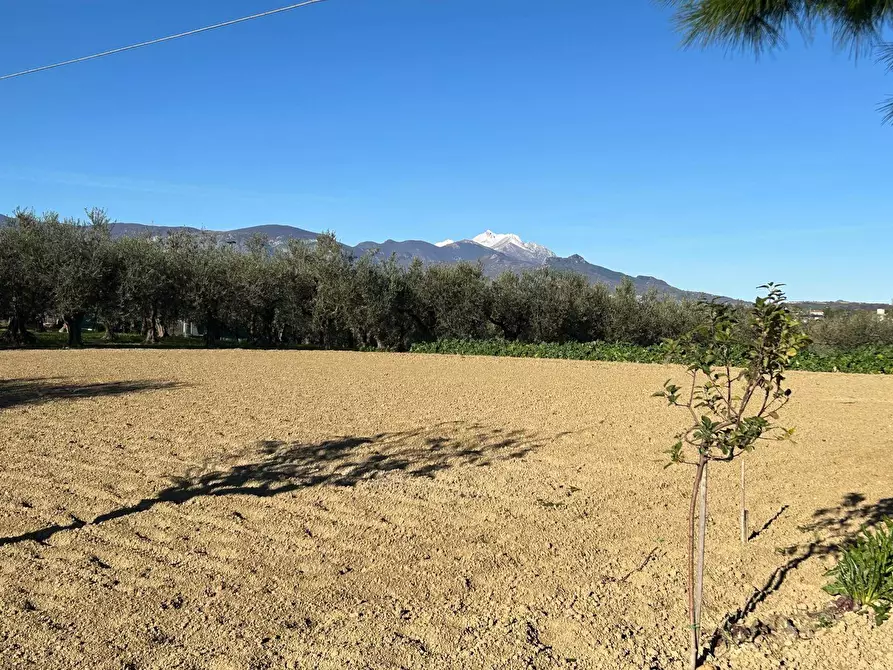 Immagine 13 di Terreno residenziale in vendita  in Contrada Collina 99 a Brittoli