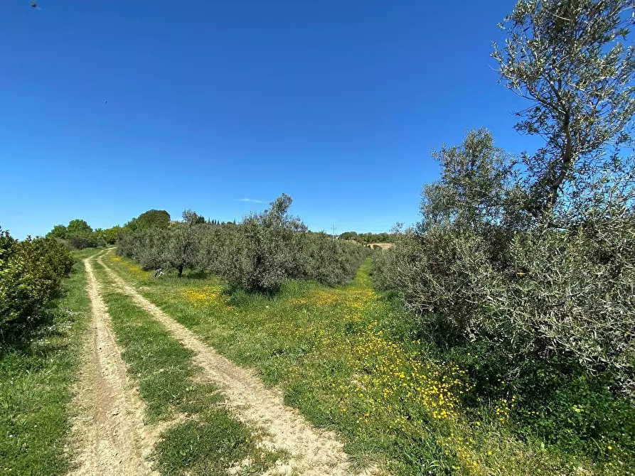 Immagine 60 di Agriturismo in vendita  in Contrada Fiorano a Loreto Aprutino
