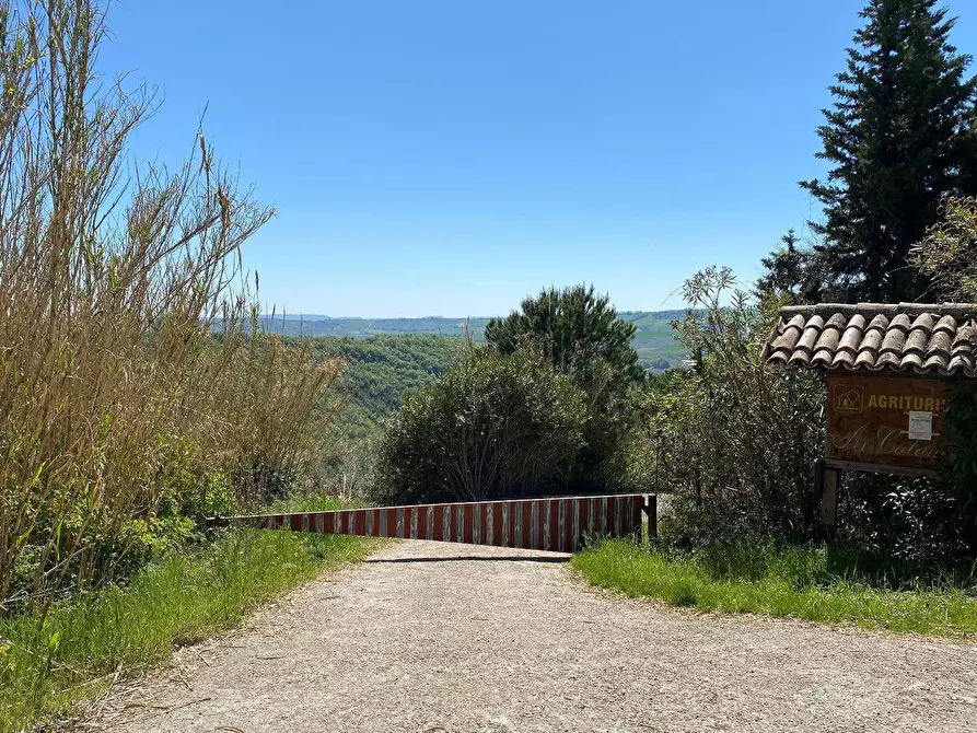 Immagine 63 di Agriturismo in vendita  in Contrada Fiorano a Loreto Aprutino