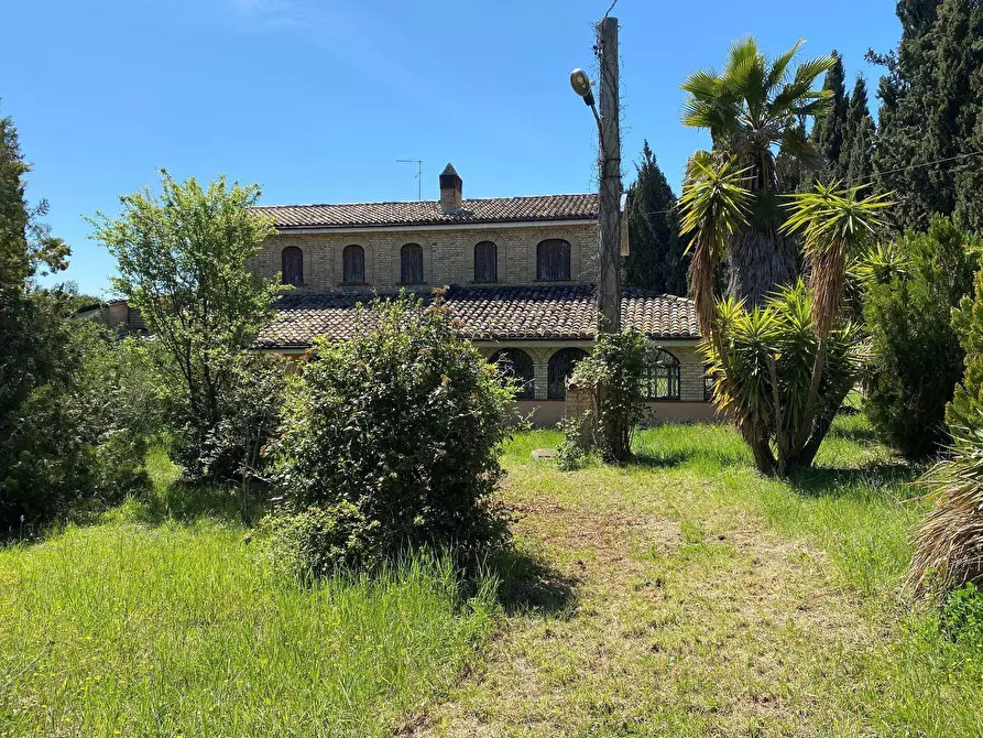 Immagine 36 di Agriturismo in vendita  in Contrada Fiorano a Loreto Aprutino