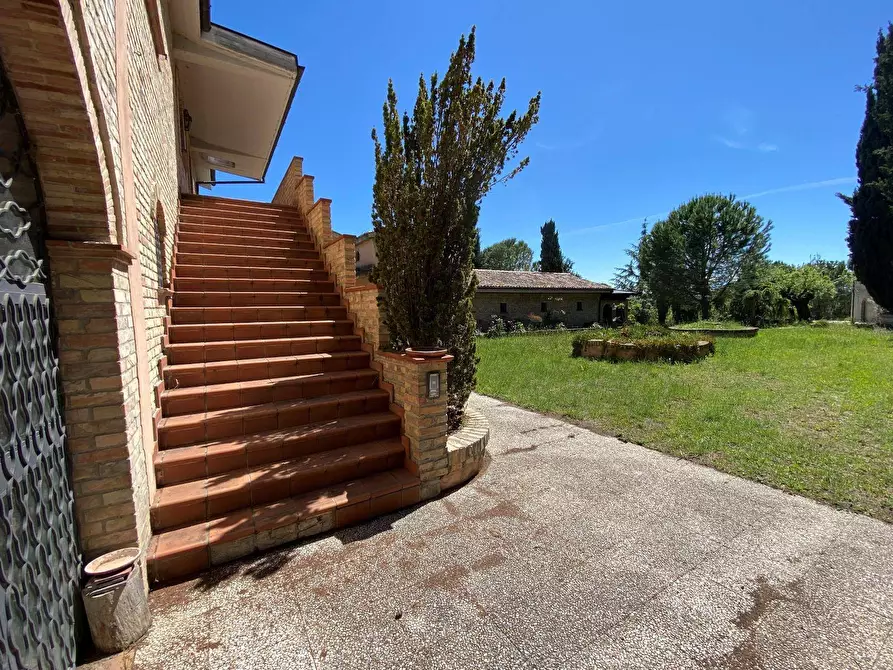 Immagine 68 di Agriturismo in vendita  in Contrada Fiorano a Loreto Aprutino