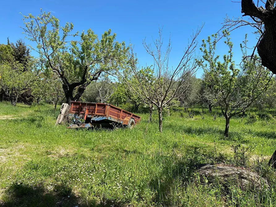 Immagine 69 di Agriturismo in vendita  in Contrada Fiorano a Loreto Aprutino